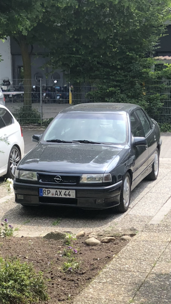 Bewerberbild