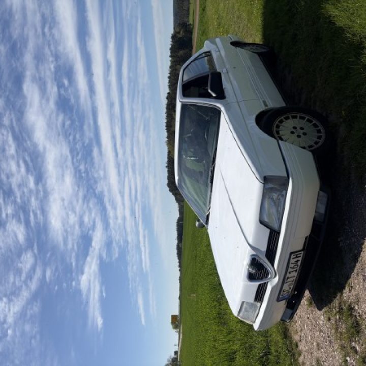 Fabio’s Alfa Romeo 164