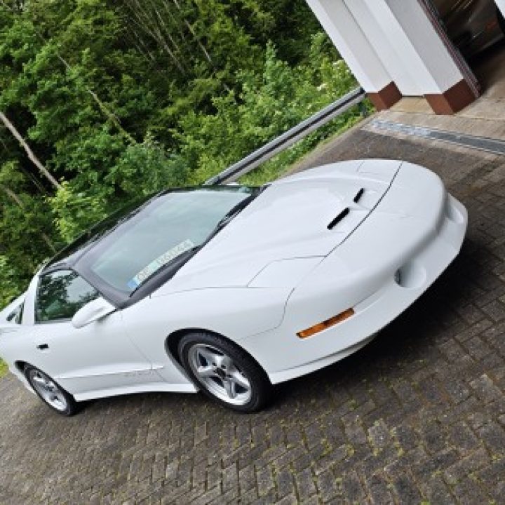 Peter’s Pontiac Trans Am